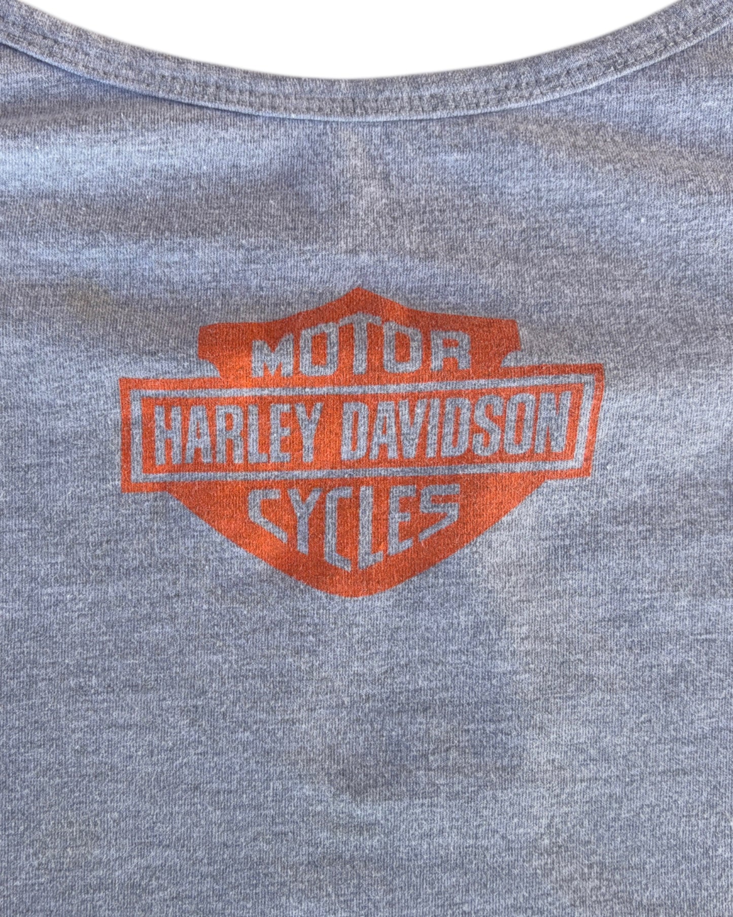 2000S HARLEY DAVIDSON TOP