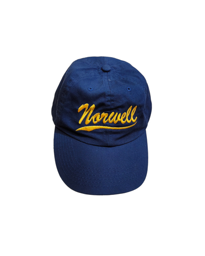 1990'S NORWELL BLUE CAP